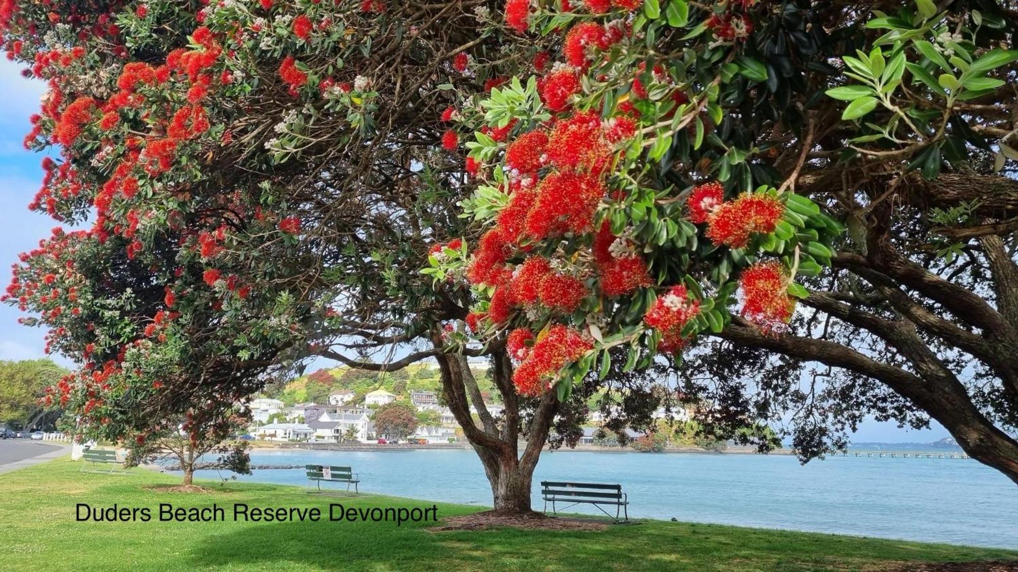 The Partchery Devonport Окленд Экстерьер фото